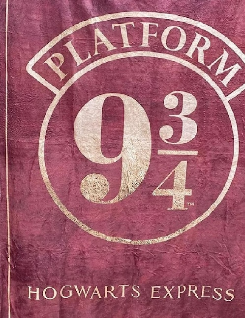 Cobija clásica de tejido suave Generica Harry Potter Unisex