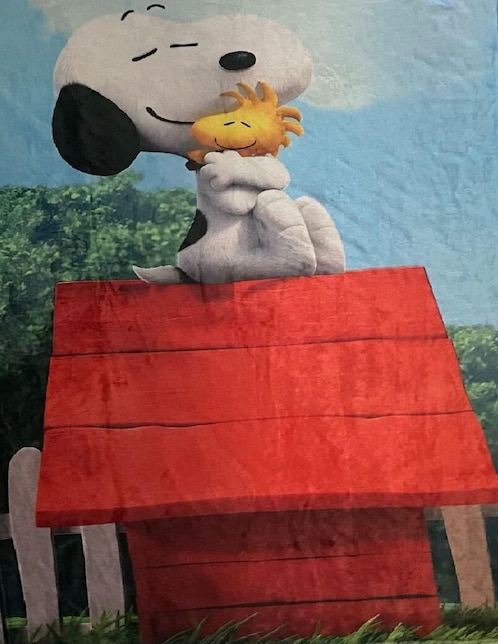 Cobija de tejido suave Generica Snoopy y Woodstock