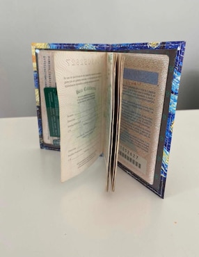 Porta pasaporte Mamá Pulpo Noche Estrellada