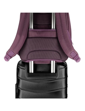 Mochila con portalaptop Samsonite Blacktown unisex