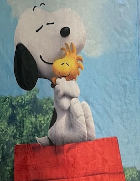 Cobija de tejido suave Generica Snoopy y Woodstock