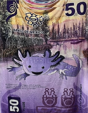 Cobija clásica de tejido suave Generica ajolote unisex