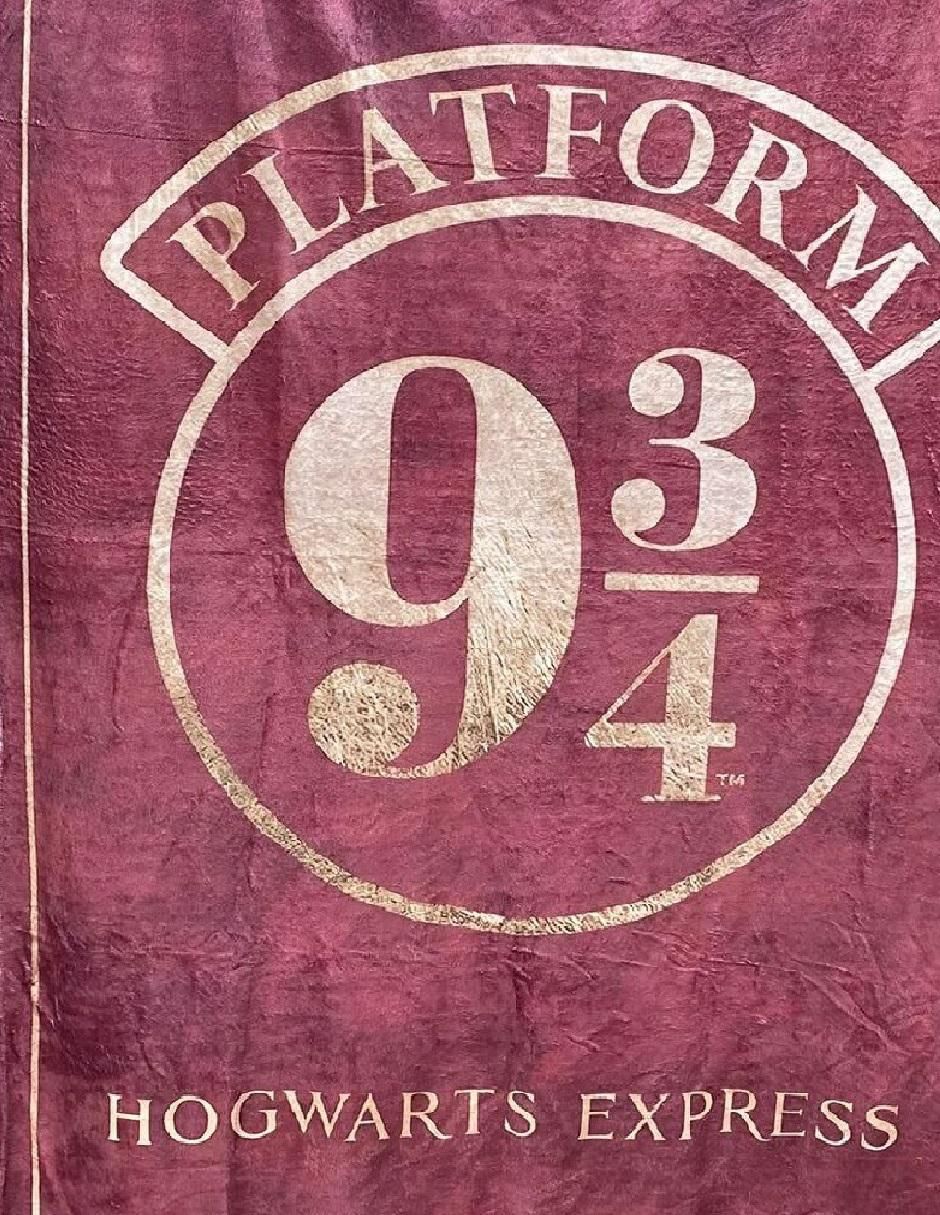 Cobija clásica de tejido suave Harry Potter Unisex