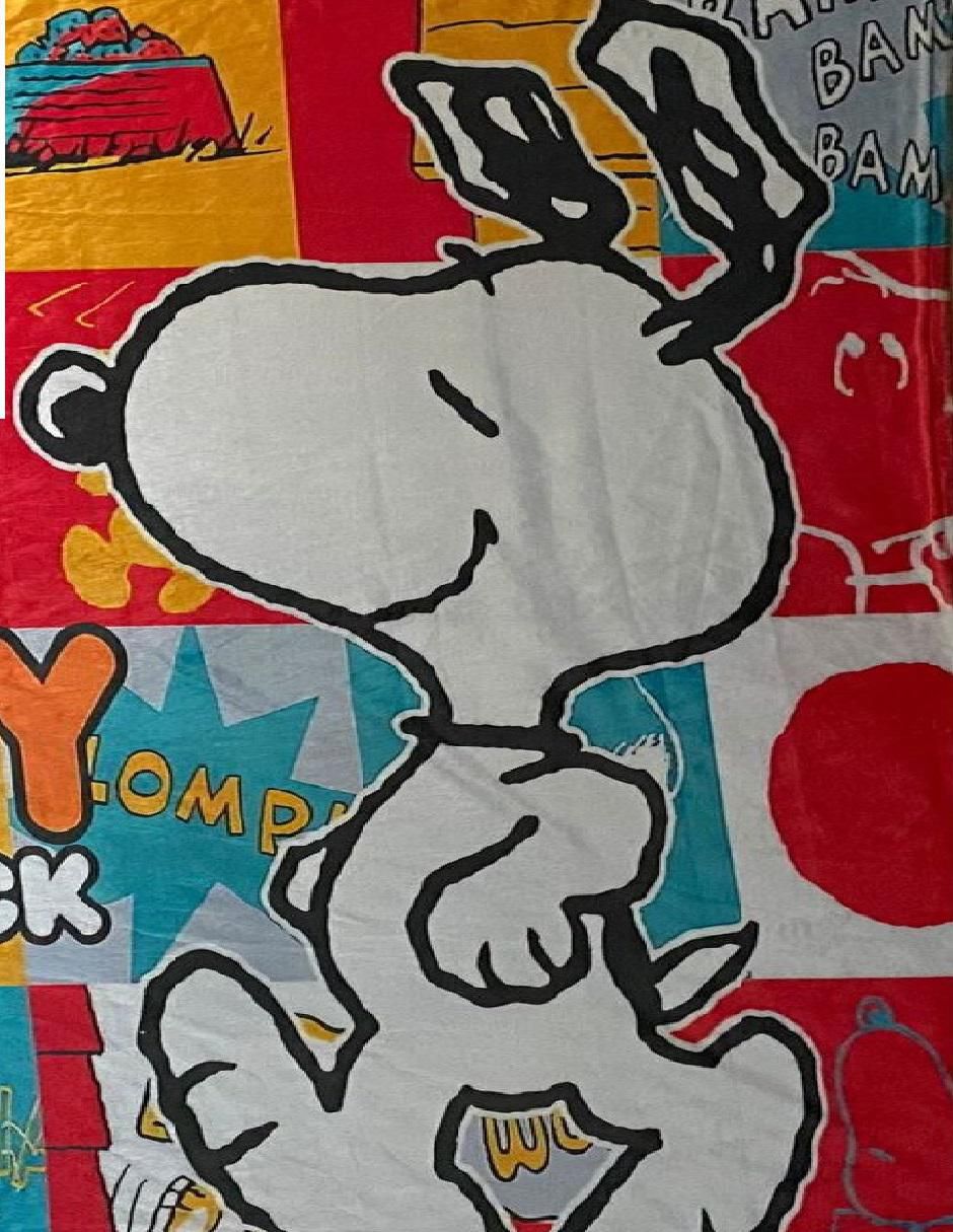 Cobija de tejido suave Snoopy y Woodstock  unisex 2
